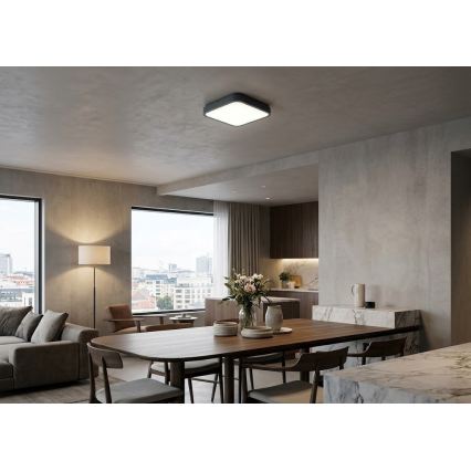 BRILAGI - LED Bathroom Ceiling Light ZENNA LED/18W/230V 28,5x28,5 cm IP44 anthracite