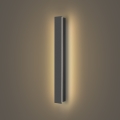 Brilagi - LINEAR LED Outdoor Wall Light/12W/230V 3000K IP65 50 cm Anthracite