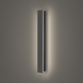 Brilagi - LINEAR LED Outdoor Wall Light/12W/230V 4000K IP65 50 cm Anthracite
