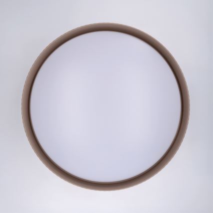 Brilagi - LUCIA LED dimmable ceiling light LED/60W/230V 3000-6500K diam. 59 cm taupe + remote control