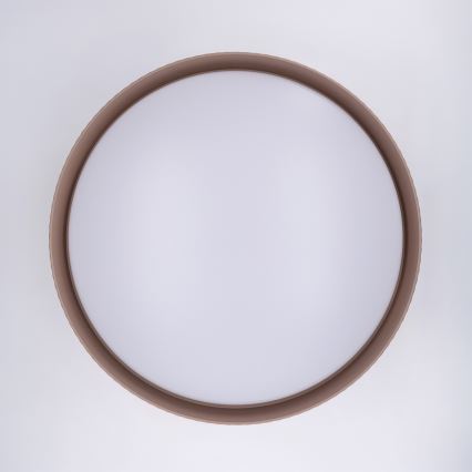 Brilagi - LED Dimmable Ceiling Light LUCIA LED/60W/230V 3000-6500K dia. 59 cm brown + remote control