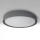 Brilagi - LUCIA LED Ceiling Light, 24W/230V, diameter 31 cm, grey