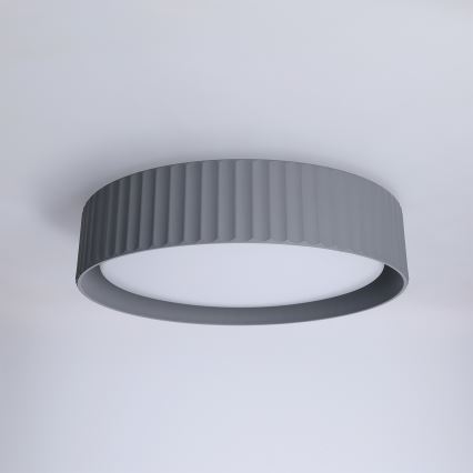 Brilagi - LUCIA LED Ceiling Light, 24W/230V, diameter 31 cm, grey