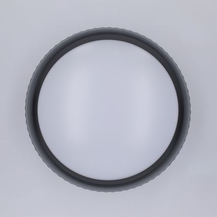 Brilagi - LUCIA LED Ceiling Light, 24W/230V, diameter 31 cm, grey