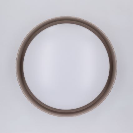 Brilagi - LUCIA LED Ceiling Light LED/24W/230V Ø 31 cm taupe