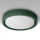 Brilagi - MATTEO LED Ceiling Light LED/24W/230V Ø 31 cm Green