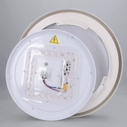 Brilagi - MATTEO LED Ceiling Light LED/24W/230V Ø 31 cm Green