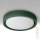 Brilagi - MATTEO LED Dimmable Ceiling Light LED/48W/230V 3000-6500K Ø 41 cm green + remote control
