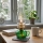 Brilagi - MERLIN Kerosene Lamp, Green