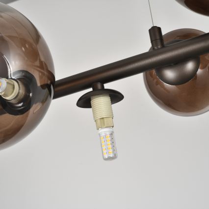 Brilagi - MILLA LED chandelier suspended on cable 10xG9/3W/230V brown/smoked brown