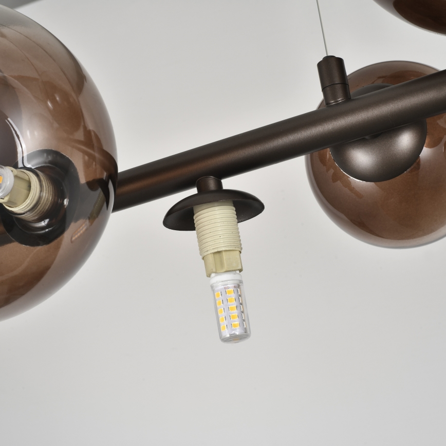 Brilagi - MILLA LED chandelier suspended on cable 10xG9/3W/230V brown/smoked brown