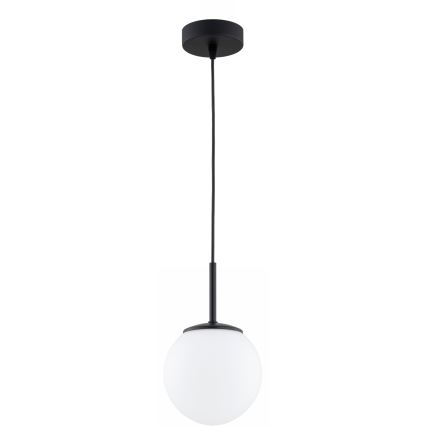 BRILAGI - MILO Cable Pendant Light 1x E27/60W/230V, Black