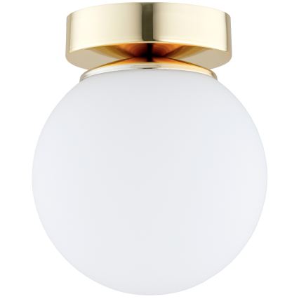 BRILAGI - MILO Gold Spotlight 1xE27/60W/230V