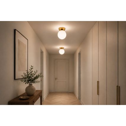 BRILAGI - MILO Gold Spotlight 1xE27/60W/230V