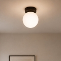 BRILAGI - MILO Spotlight 1xE27/60W/230V Black