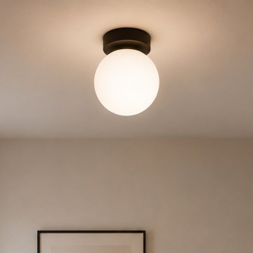 BRILAGI - MILO spotlight 1xE27/60W/230V Ø 15 cm black