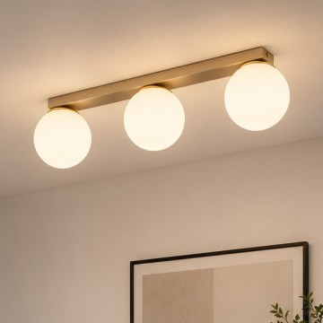 BRILAGI - MILO Spotlight 3x E27/60W/230V Beige/Gold