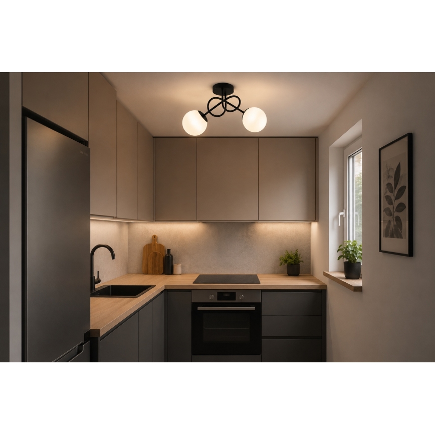 BRILAGI - MILO Surface-mounted ceiling light 2xE27/60W/230V Black