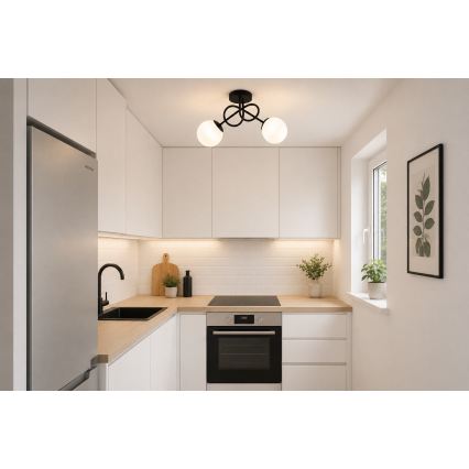 BRILAGI - MILO Surface-mounted ceiling light 2xE27/60W/230V Black