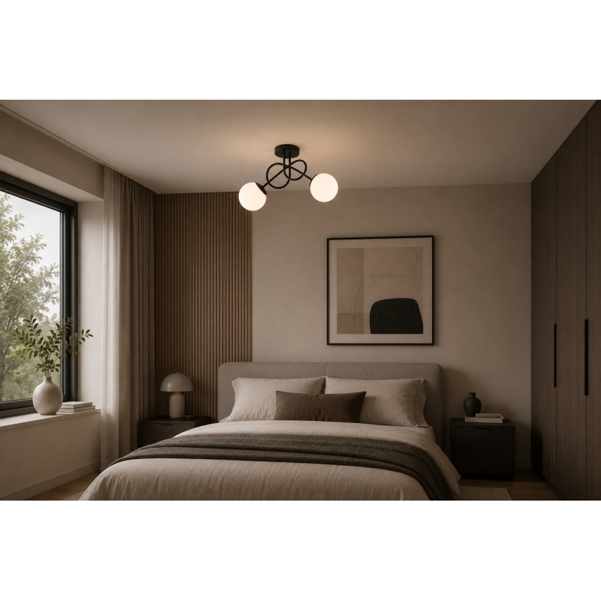 BRILAGI - MILO Surface-mounted ceiling light 2xE27/60W/230V Black