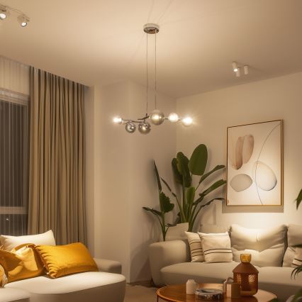 Brilagi – MISTEL LED Cable Pendant, 6×G9 3W (230V), Black Chrome with Smoked Glass