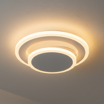 Brilagi - MODERN MINI LED Ceiling Light/22W/230V 3000/4000/6000K