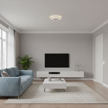 Brilagi - MODERN MINI LED Ceiling Light/22W/230V 3000/4000/6000K