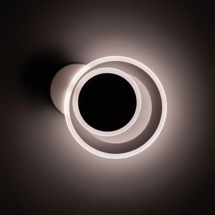 Brilagi - MODERN MINI LED Ceiling Light/22W/230V 3000/4000/6000K