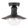 Brilagi - MOLDE Outdoor Ceiling Light 1xE27/60W IP44 Black