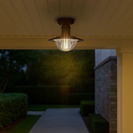 Brilagi - MOLDE Outdoor Ceiling Light 1xE27/60W IP44 Black