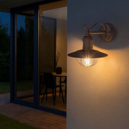 Brilagi - MOLDE Outdoor Wall Light 1xE27/60W/230V IP44 White/Patina