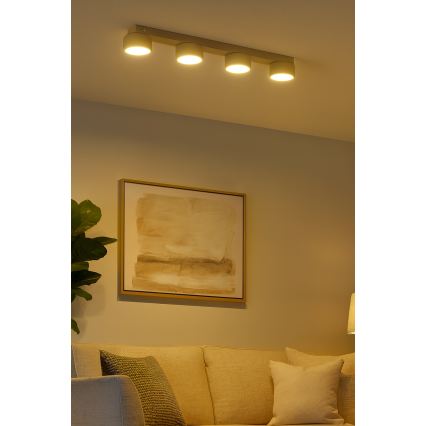 Brilagi - MONO 4xGX53/12W/230V Beige Spotlight