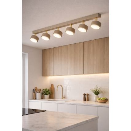 BRILAGI - MONO LED Spot Fixture 6xGX53/30W/230V Beige/Gold