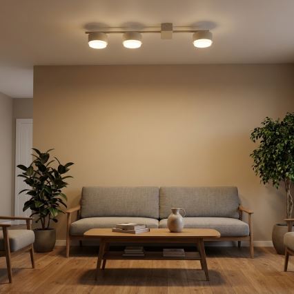 Brilagi - MONO LED Spotlight 3xGX53/12W/230V Beige