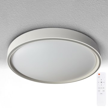 Brilagi - NANCI LED Dimmable Ceiling Light LED/60W/230V 3000-6500K Ø 49 cm Silver + Remote Control