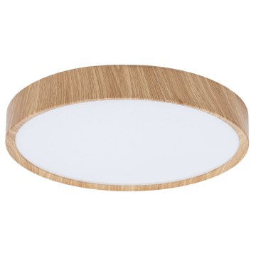 BRILAGI - NATURA LED Ceiling Light, 24W, 230V, 4000K, Ø 38.3 cm