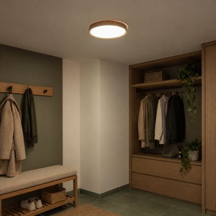 BRILAGI - NATURA LED Ceiling Light, 24W, 230V, 4000K, Ø 38.3 cm