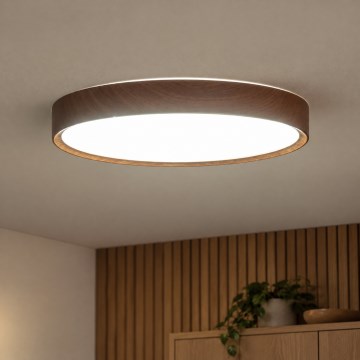 BRILAGI - NATURA LED Ceiling Light LED/24W/230V 4000K Ø 38.3 cm