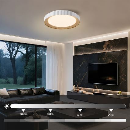 Brilagi - Dimmable LED Ceiling Light NEXO LED/48W/230V 3000-6000K White Ø 43 cm + Remote Control