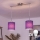 Brilagi - NUBILA LED Cable Pendant 2xE27/60W/230V Purple