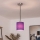 Brilagi - NUBILA LED Pendant on Cable, 1x E27/60W/230V, dia. 14 cm, Black/Purple