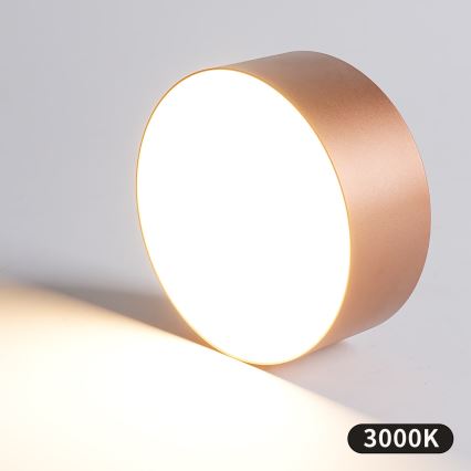 BRILAGI - Outdoor ceiling light FORIS LED/20W/230V Ø 15 cm bronze IP44