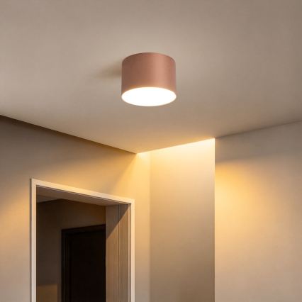 BRILAGI - Outdoor ceiling light FORIS LED/9W/230V Ø 9 cm bronze IP44