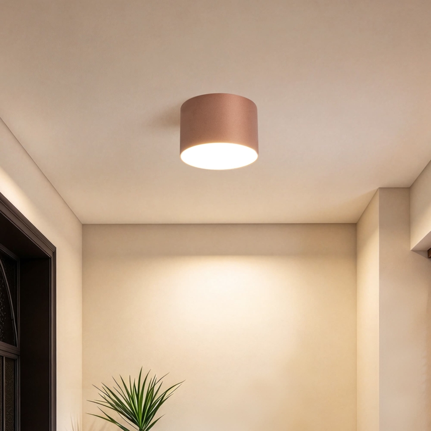 BRILAGI - Outdoor ceiling light FORIS LED/9W/230V Ø 9 cm bronze IP44