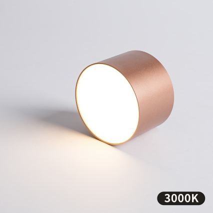 BRILAGI - Outdoor ceiling light FORIS LED/9W/230V Ø 9 cm bronze IP44