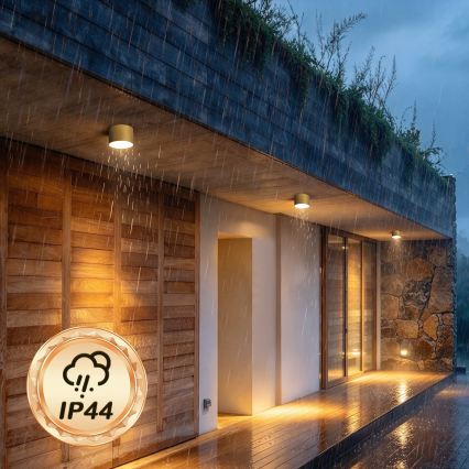 BRILAGI - Outdoor ceiling light FORIS LED/9W/230V Ø 9 cm gold IP44