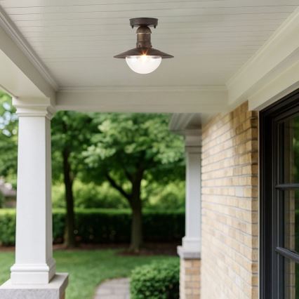 Brilagi - Outdoor Ceiling Light MOLDE 1xE27/60W IP44 Bronze with Patina