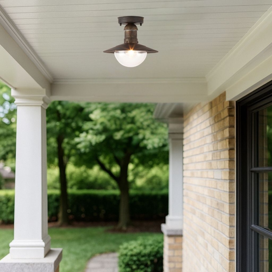 Brilagi - Outdoor Ceiling Light MOLDE 1xE27/60W IP44 Bronze with Patina