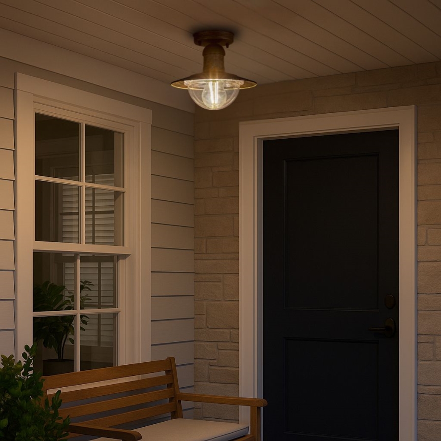 Brilagi - Outdoor Ceiling Light MOLDE 1xE27/60W IP44 Bronze with Patina