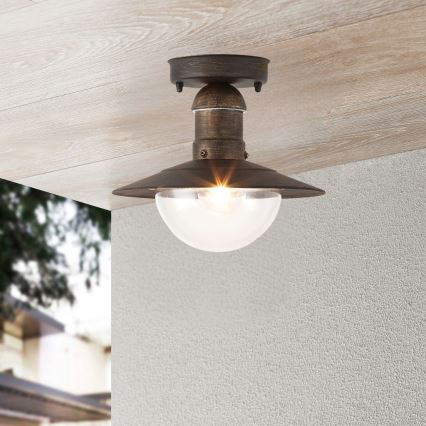 Brilagi - Outdoor Ceiling Light MOLDE 1xE27/60W IP44 Bronze with Patina